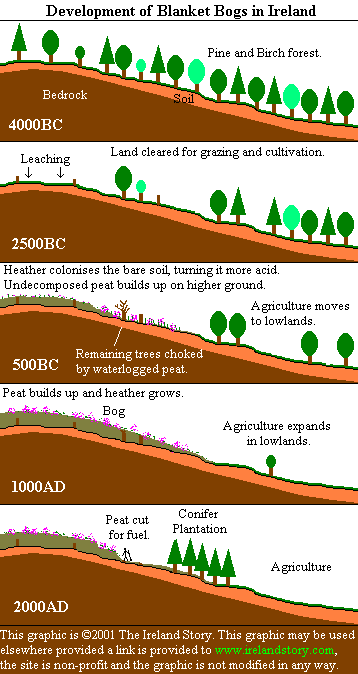 Blanket Bog formation [14kB]